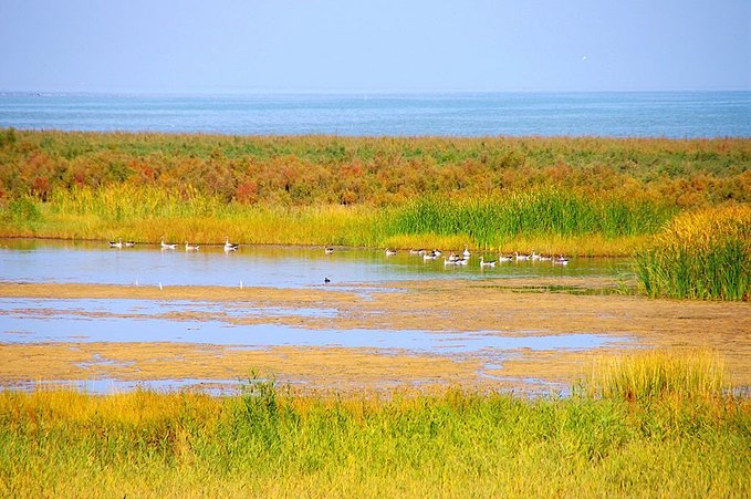 五一值得去的人间仙境,全国必去的人间仙境