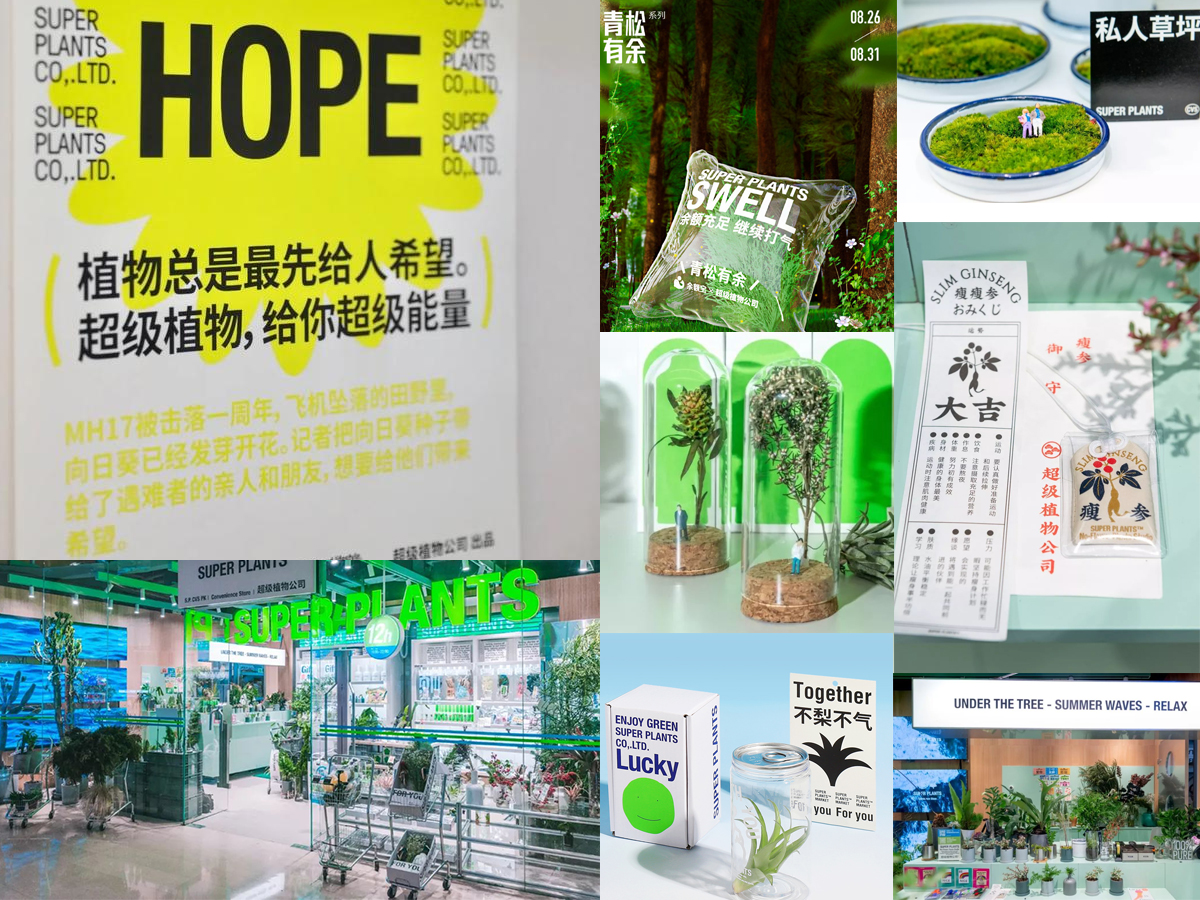 万字解析▏中国新果饮的未来，要披荆斩棘还是乘风破浪？（上）