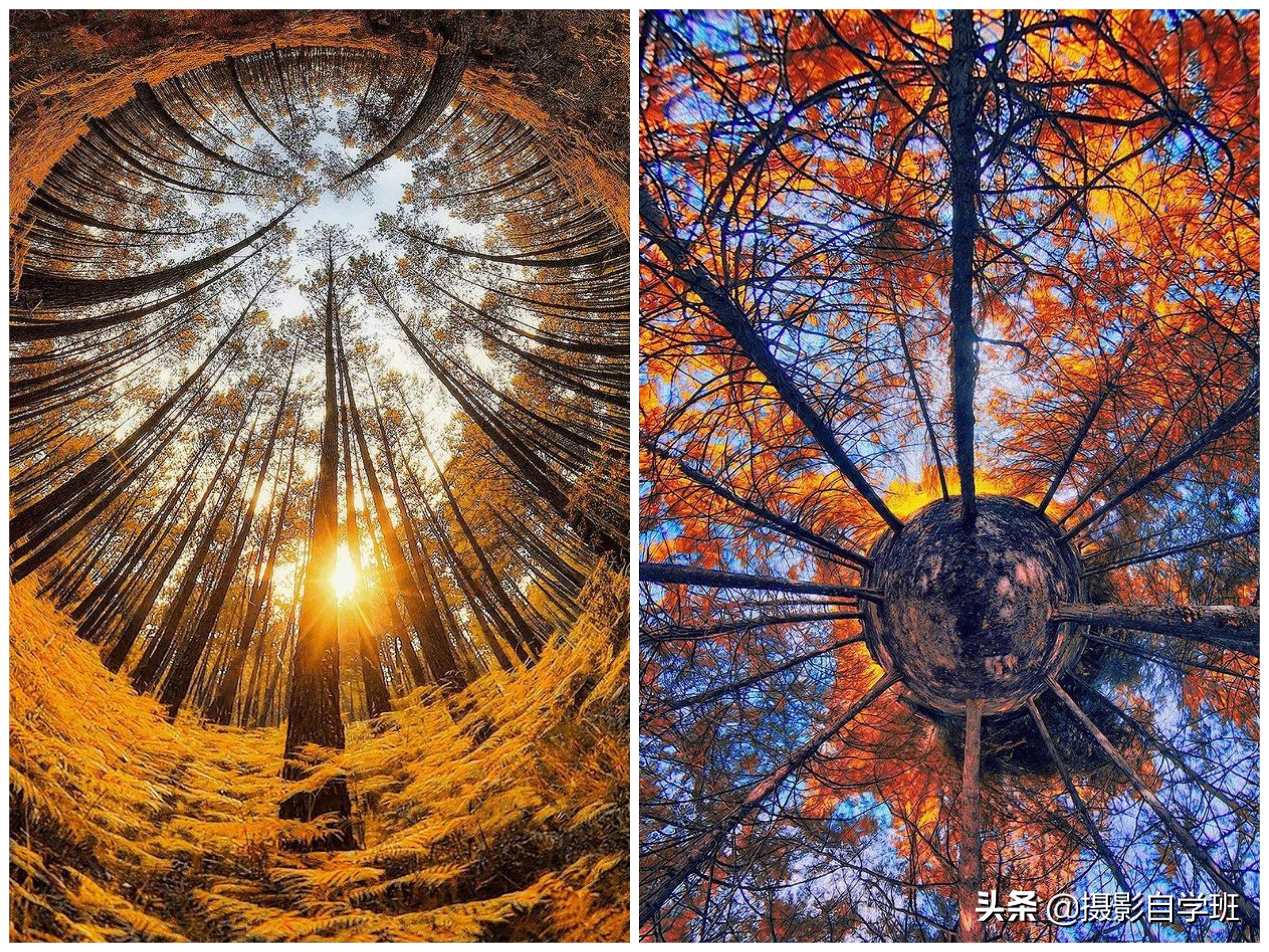 风光摄影必学的10个拍摄技巧,风光摄影作品拍摄的技巧有哪些