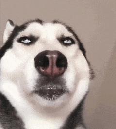 买电视柜必知的几件事,购买电视柜该注意什么