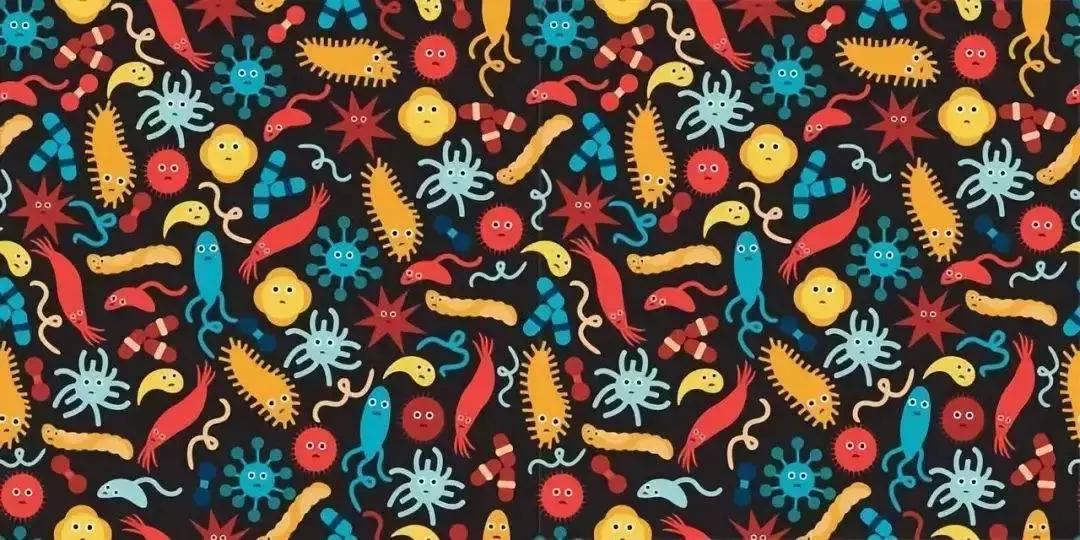 肠道菌群与癌症的最新研究,肠道菌群与癌症的关系