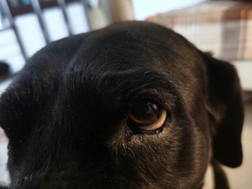 解禁国语版,解禁wlan