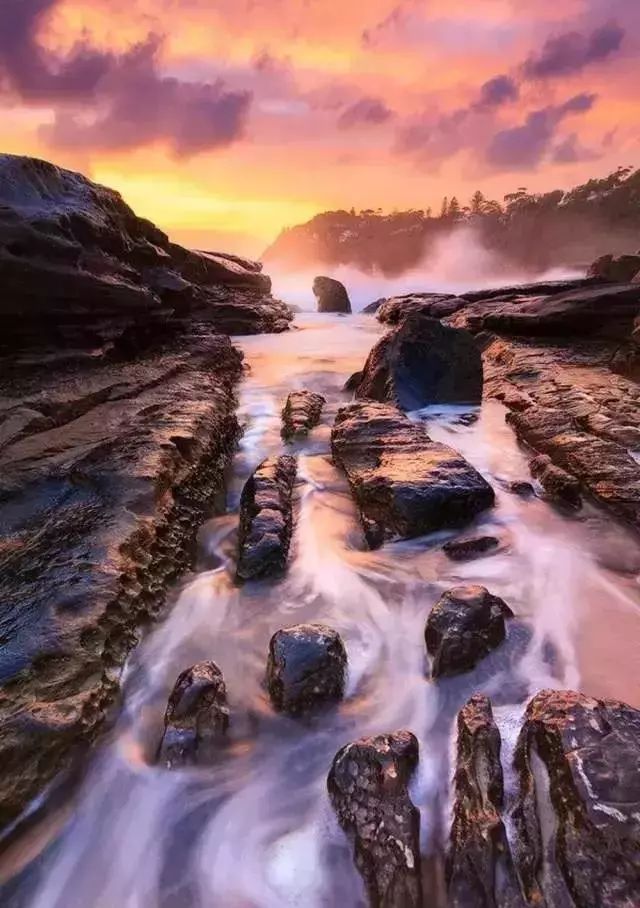 「儿童主播刘释文」《我赞美世界》文：顾城