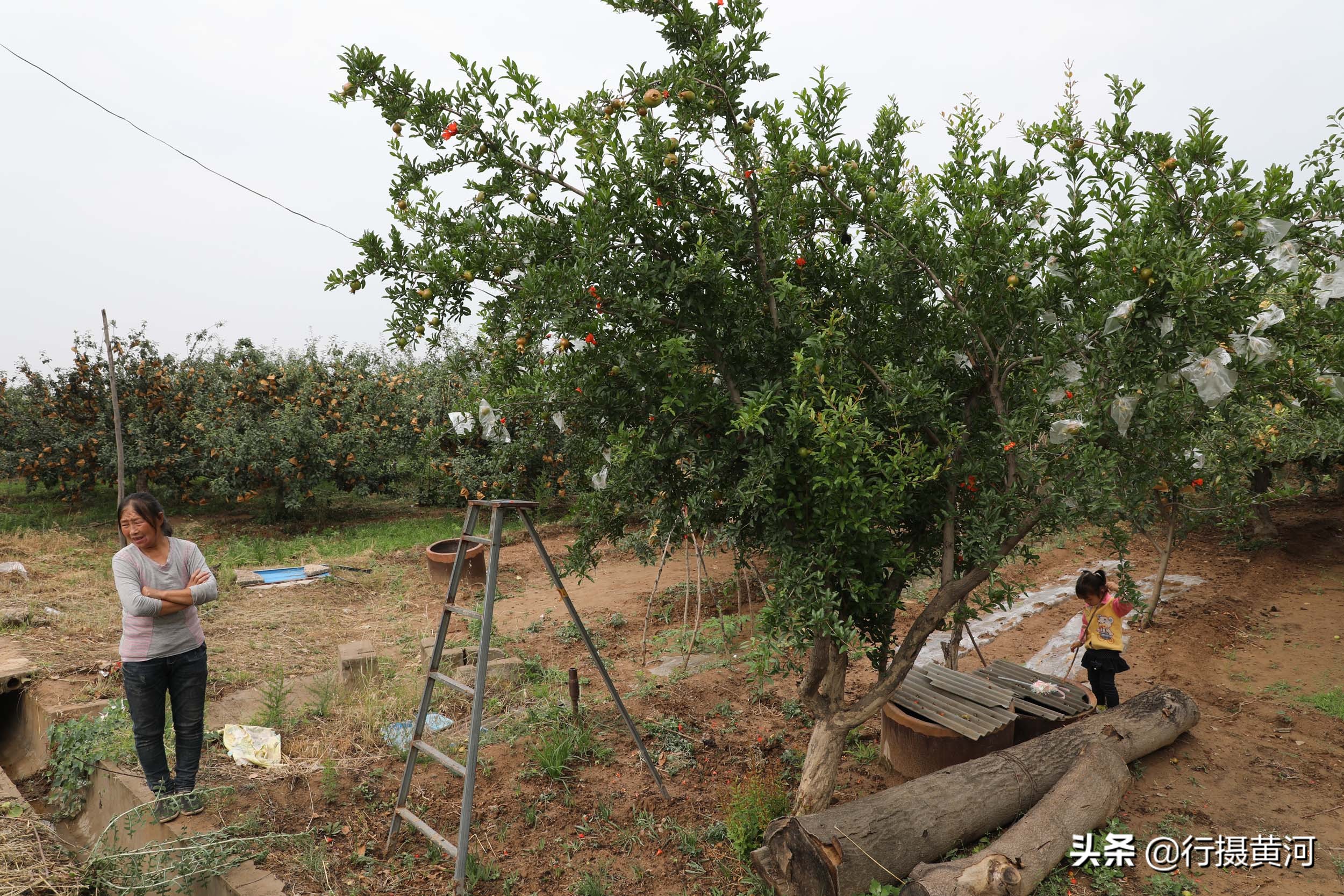 儿子娶个广东媳妇，生个女孩送回山西，看农村奶奶把孙女养成啥样
