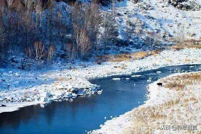 古今诗词里有哪些咏雪的诗句,十首最美咏雪诗词