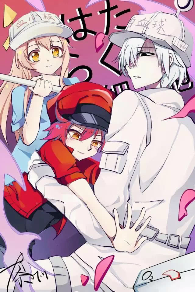 b站最火的三部动漫,b站十大催人泪下的动漫