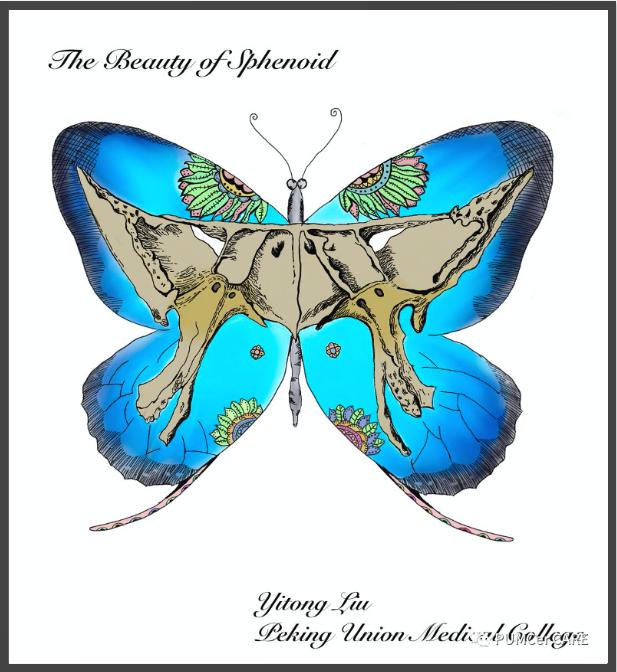 灵魂画手原创上热门,灵魂画手来了图片