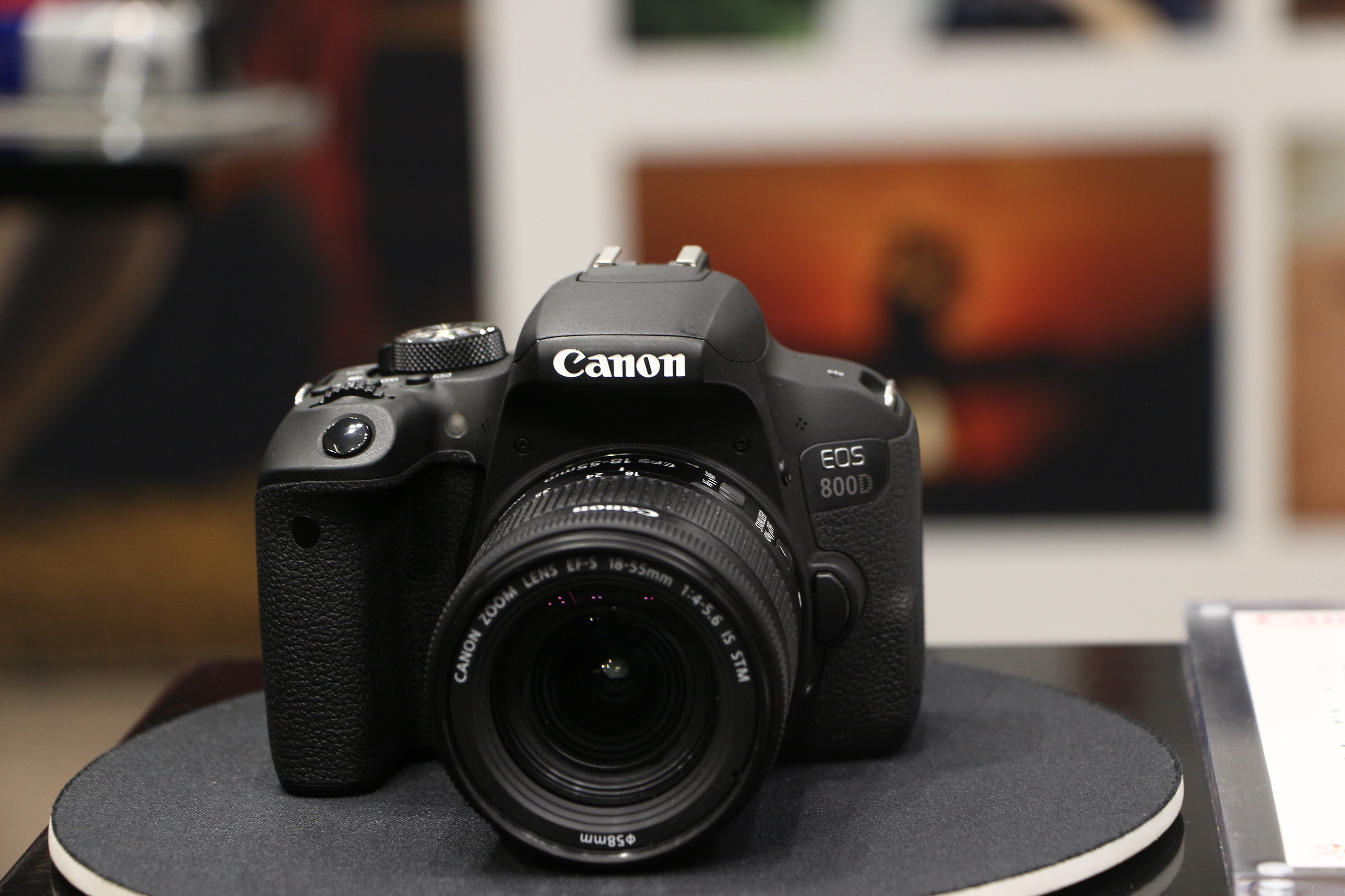 新手4000元入门全新相机推荐,性价比高入门相机推荐