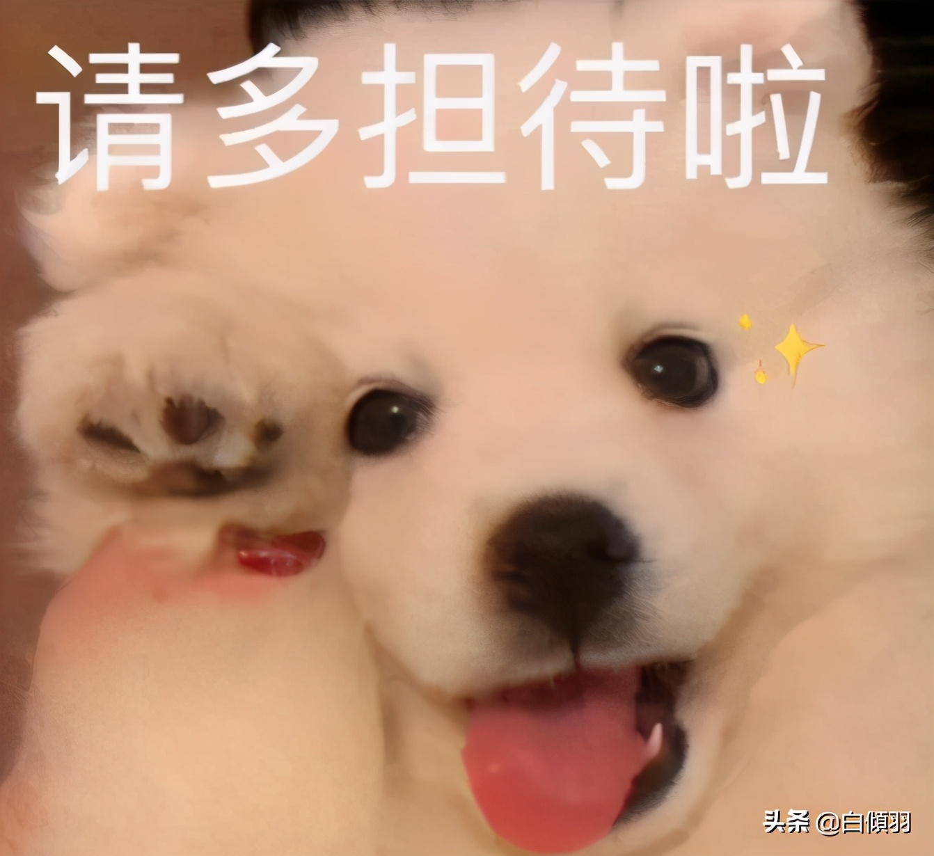 鎶よ偆鐭ヨ瘑澶у叏鐢风敓,鐢风敓搴旇濡備綍鎶よ偆