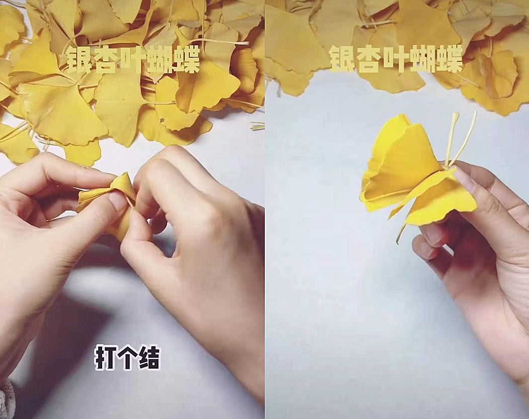 用银杏叶做一个非常有名的艺术品,小学生银杏叶手工简单