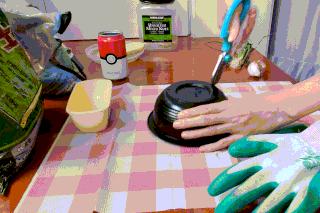 手把手教你阳台种菜,阳台种菜究竟是省钱还是费钱