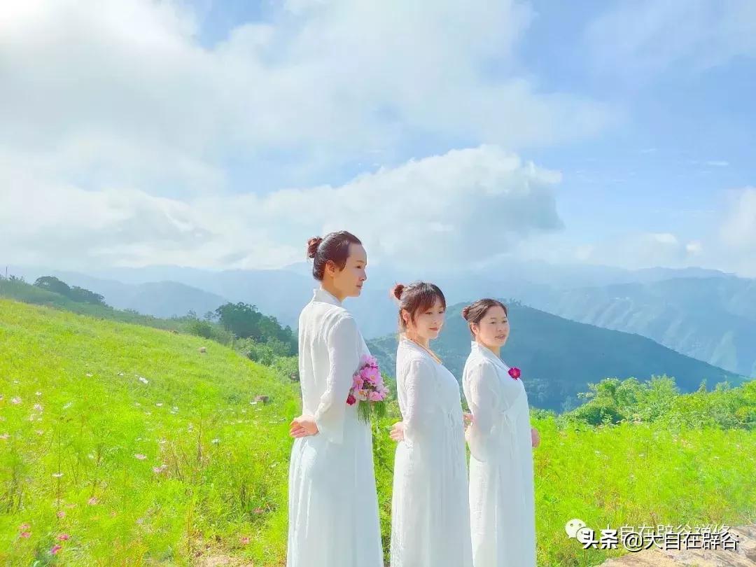 阳气上升辟谷有效果吗,三伏天辟谷冬病夏治