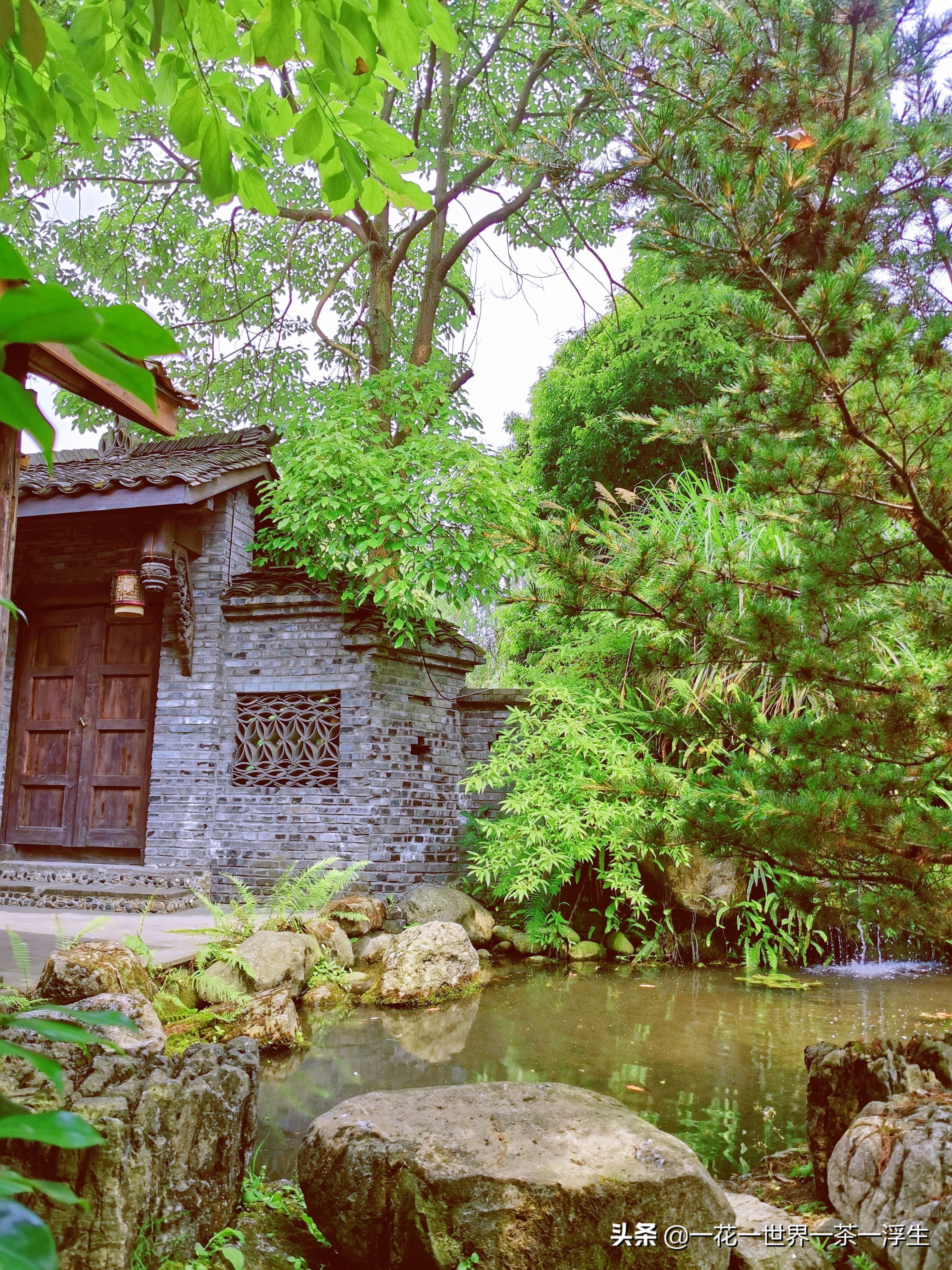 寻找巴适的成都小院（2）