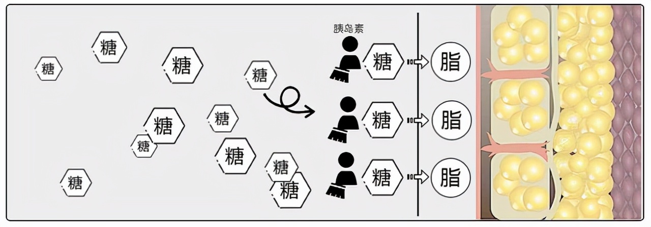 盘点热门减肥方法,盘点真实有效的减肥方法