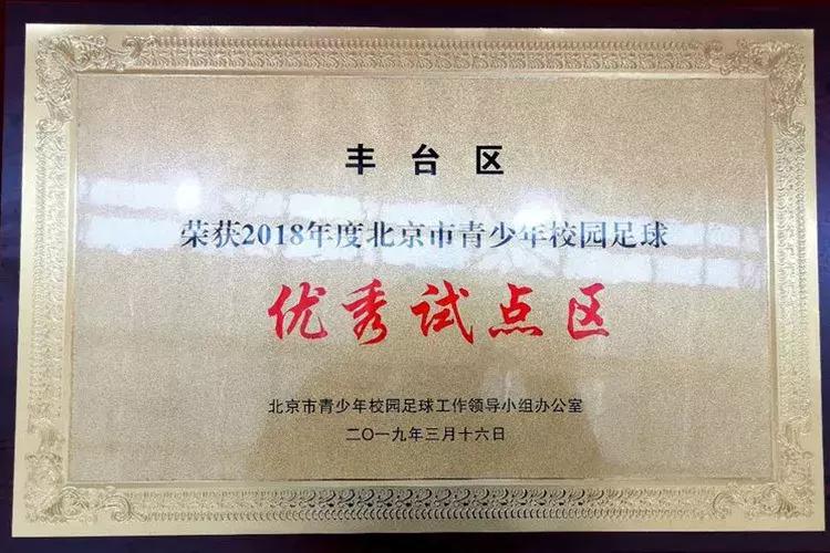 北京市丰台区中小学足球联赛,2018年中小学生丰台区足球联赛