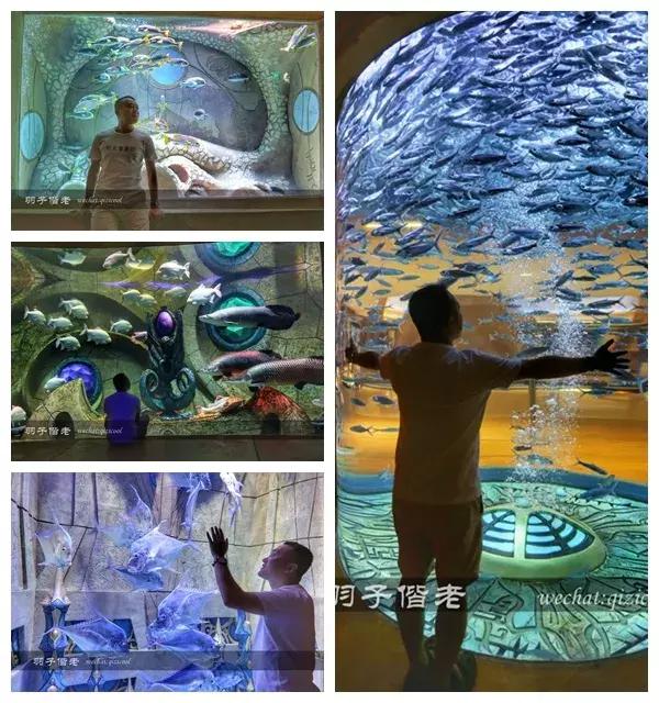 三亚亚特兰蒂斯水世界游玩路线,三亚亚特兰蒂斯水上乐园游玩项目