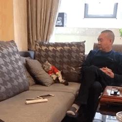 养猫后儿子鼻过敏，妈妈心生一计：不如你搬出去住吧！