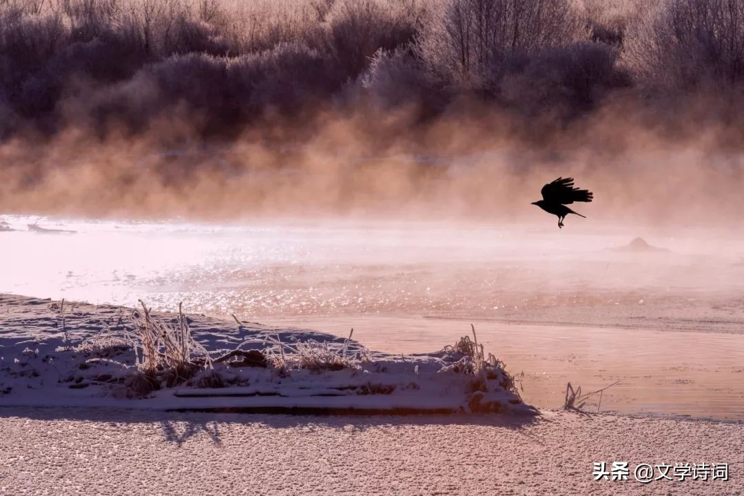 感慨时光流逝的诗句古诗大全,古诗十首唯美伤感诗句