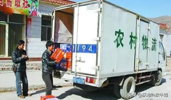 今年不想在外打工？不如试试这些行业，现在在农村都很吃香