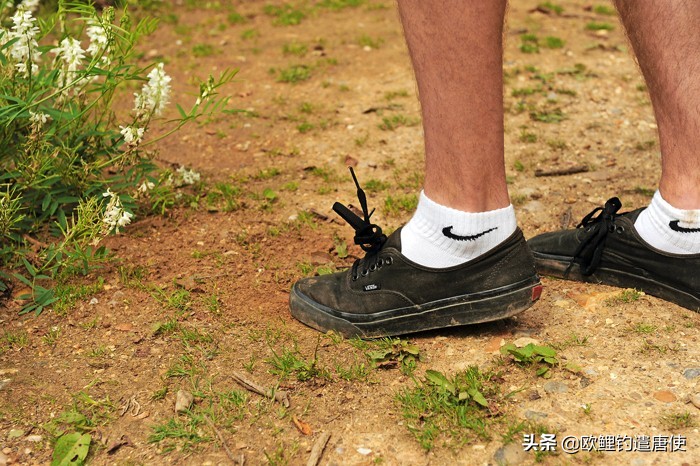 河流里短竿怎么钓大鱼,既有小鱼又有大鱼怎么钓大鱼