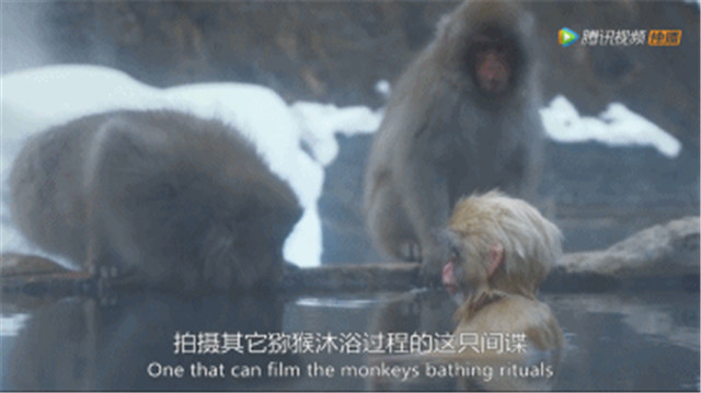 bbc有多有钱,bbc多有钱