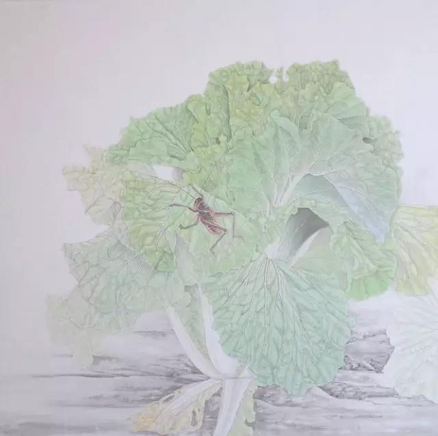 画白菜技法,3d白菜画