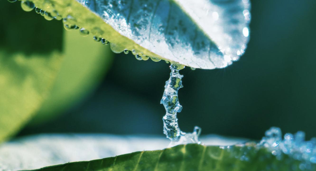 源头简史在线阅读,源头简史解说