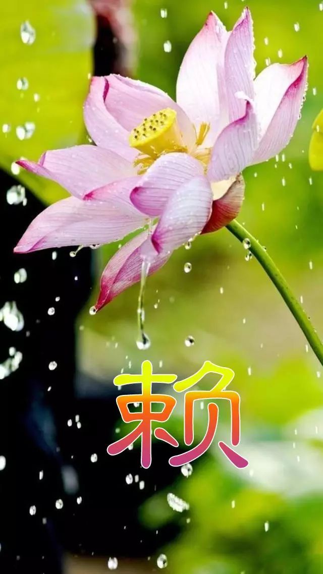 珠宝翡翠艺术字体,翡翠字体图片欣赏