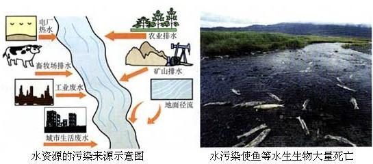 化学中考总复习12单元化学与生活,初中化学第十二单元知识点归纳