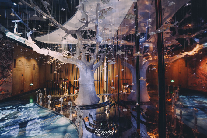 游览西安华清宫需要讲解吗,唐华清宫介绍