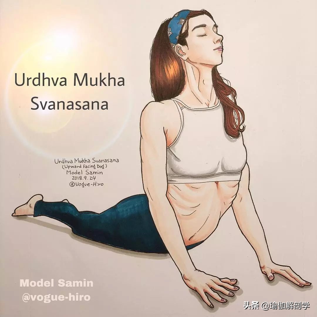 练瑜伽10大禁忌是什么,初学者练瑜伽体式的8大禁忌