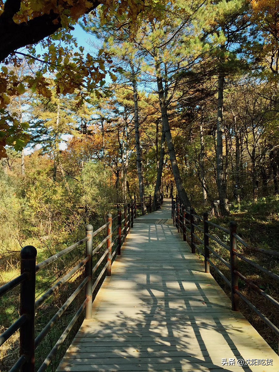 南昌五一周边野餐,五一放假别乱跑