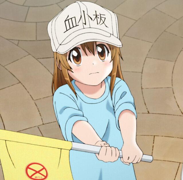 声优长绳麻理亚,长绳麻理亚配音原神