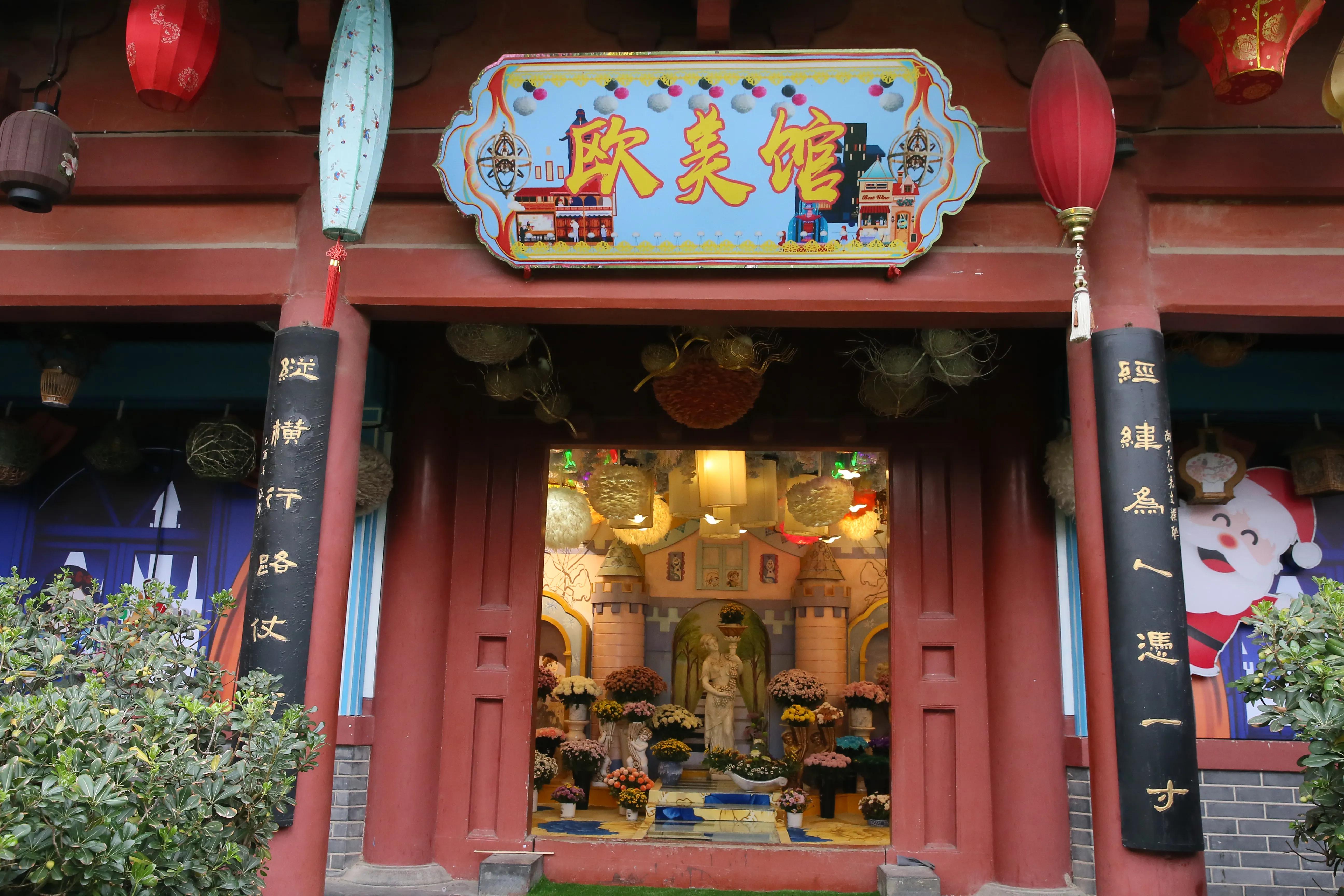 开封第十届国际菊花展8k高清视频,开封菊花文化节隆重开幕