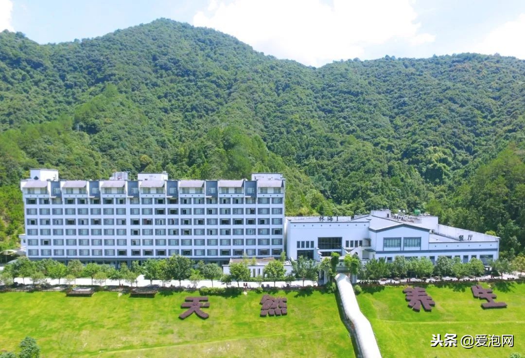 广东森林海温泉酒店攻略,广东云天海原始森林温泉度假村