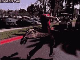 老虎幼崽追大鹅被反杀逃进笼,大鹅大战老虎老虎被吓瘫软