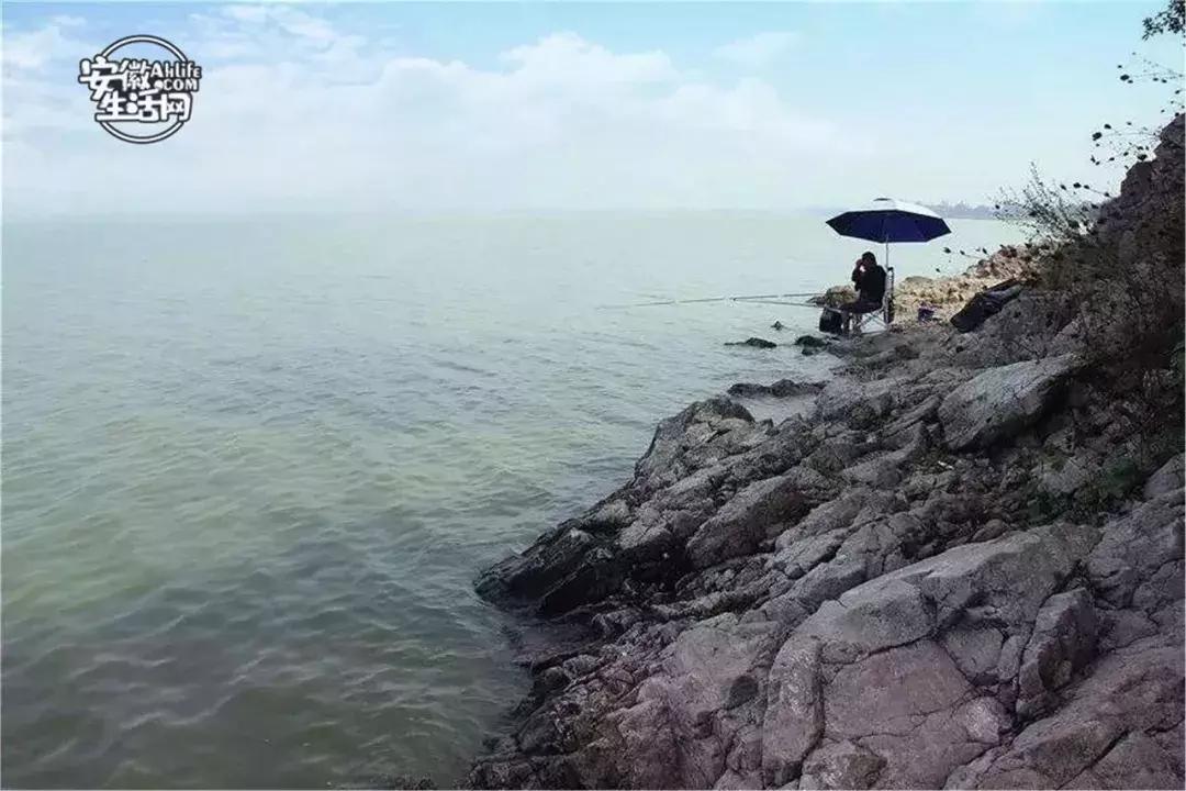 合肥市区免费游玩推荐,合肥市区一日游推荐免费景点