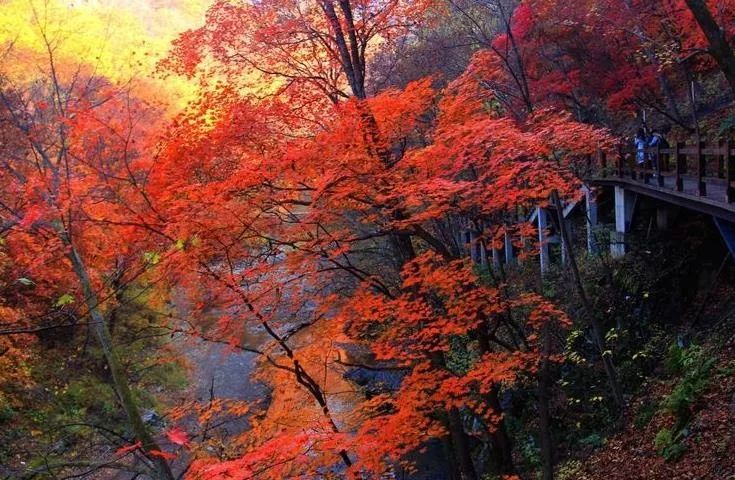 沈阳周末一日游推荐冬季,沈阳秋天去哪里看枫叶