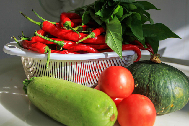 食养与食治,食养干预