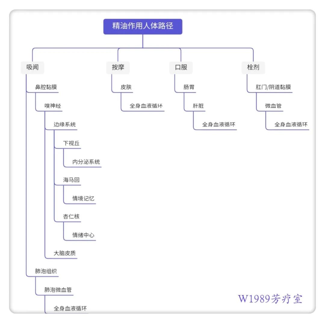 芳疗科普｜精油的常见使用方法