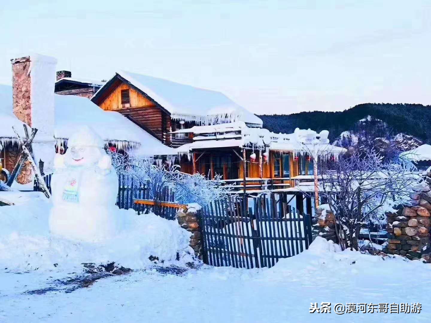 漠河极寒之旅,漠河遇到熊
