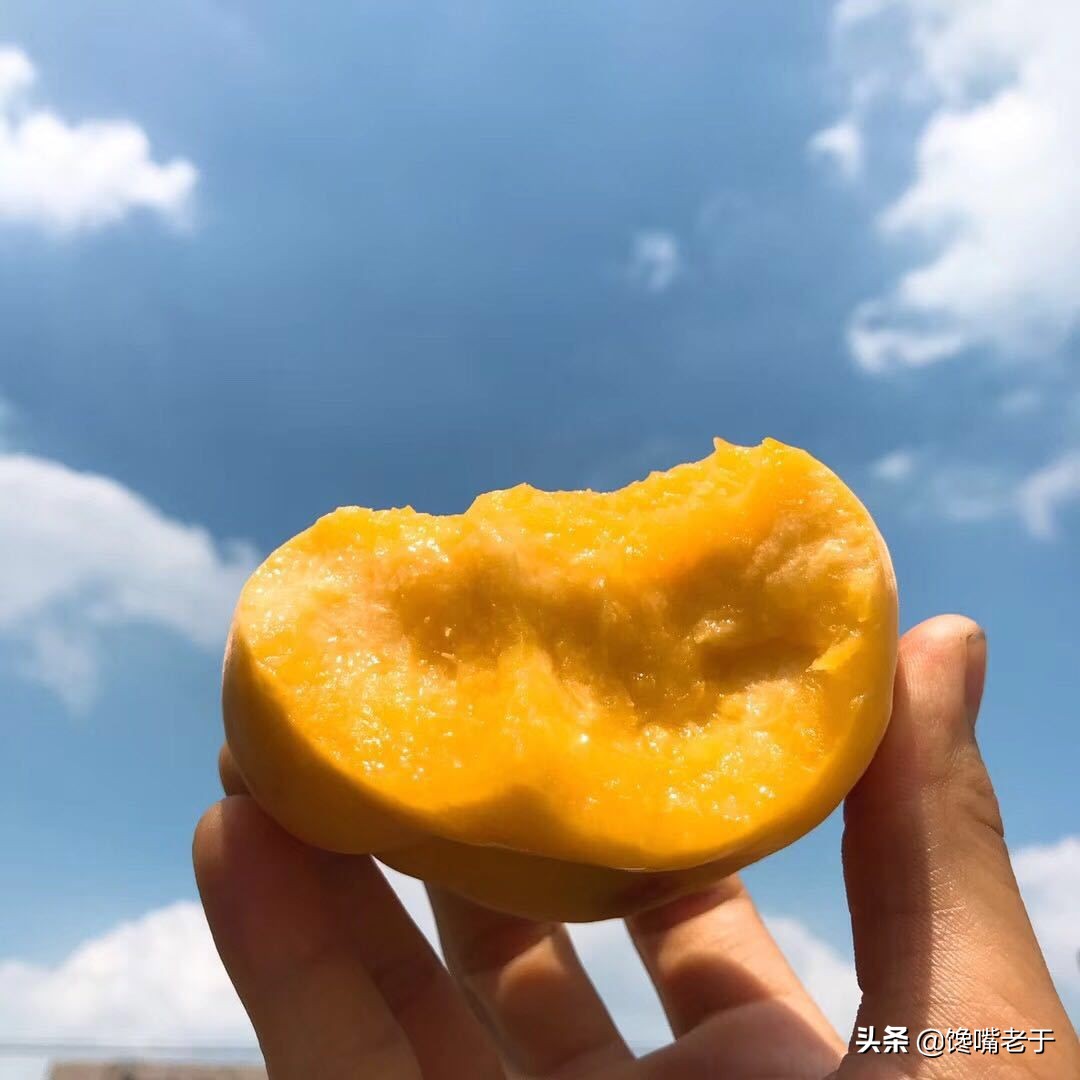 6月最该吃这5种营养水果,8月吃什么水果好吃又营养