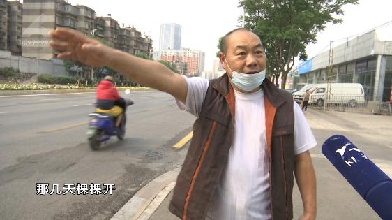 绿化带的月季花被偷,绿化带里的花被人偷了