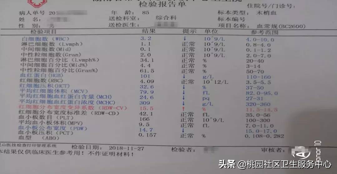 血常规化验单怎么看？掌握这3项就全懂了