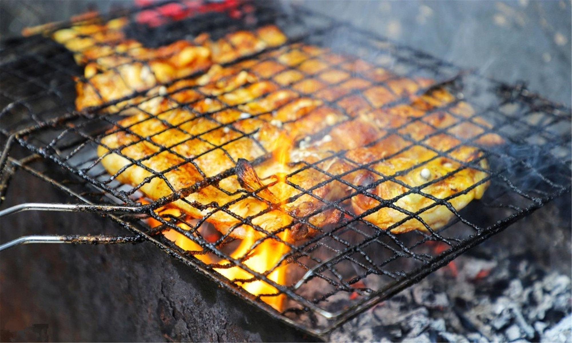 烧烤店烤的烤鱼是什么鱼,饭店的烤鱼都是什么鱼那么便宜