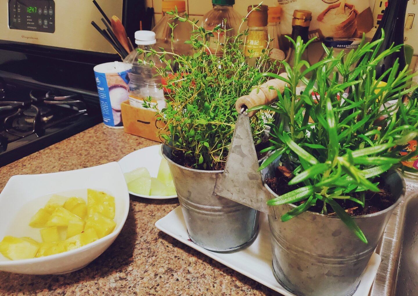 十种最香的香草调料,各种香草调料