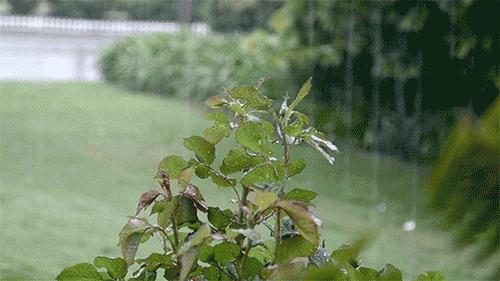 渭南文坛|飞虹如画：走向春天（散文）