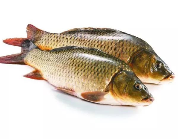 鲤鱼这样一锅炖简单下饭,鲤鱼最下饭的5种做法简单易学