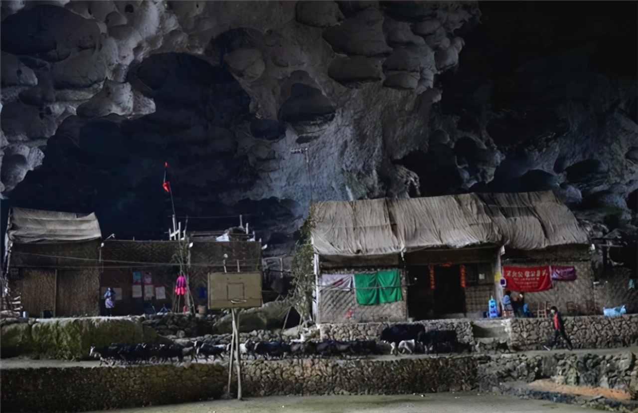 娣勫崥鍦熷尓鏉ㄥぇ灞辨槸鎬庝箞姝荤殑,鍘嗗彶涓婄殑灞变笢鎮嶅尓