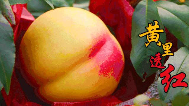 昌平自驾游京郊最佳好去处,北京昌平区冬季旅游